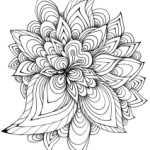 Blume_1_oRand_xxs